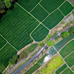 SErvicios de Gestión Ambiental en Paraguay